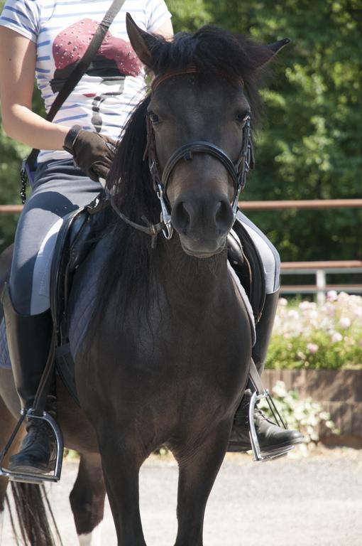 Agriturismo Jesson Rosamund カントゥ エクステリア 写真