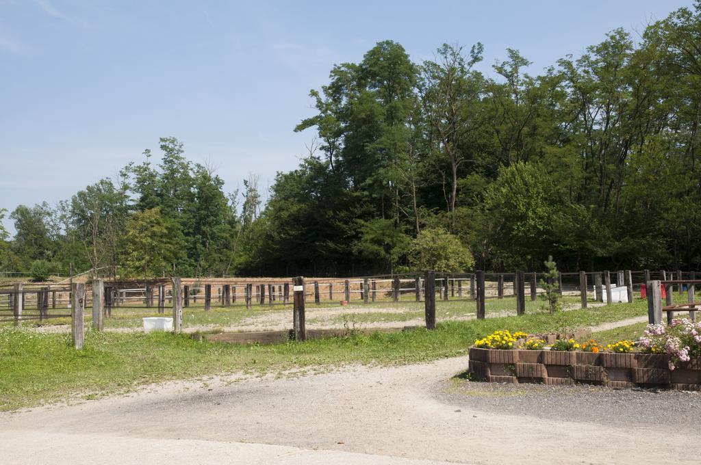 Agriturismo Jesson Rosamund カントゥ エクステリア 写真