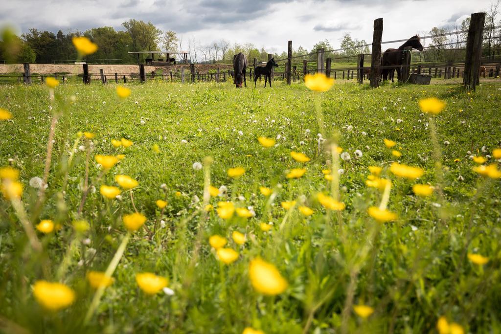 Agriturismo Jesson Rosamund カントゥ エクステリア 写真